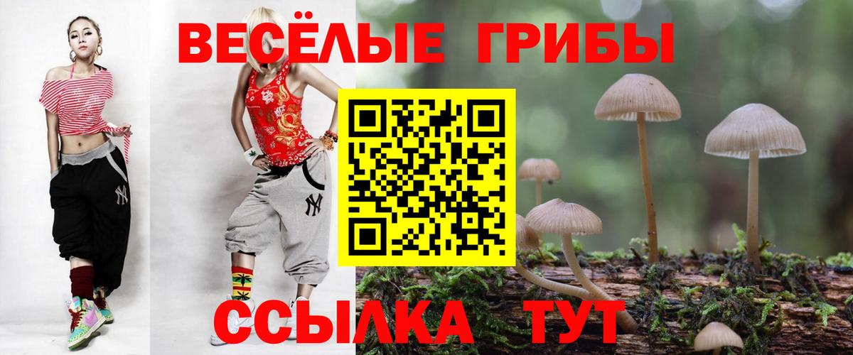 ГАШ  Бошки Шишки  МЕТАМФЕТАМИН  Альфа ПВП СК   LSD-25  Вход с VPN  Кохма  МЕФ кристаллы  Вейп ТГК  МАРИХУАНА 
