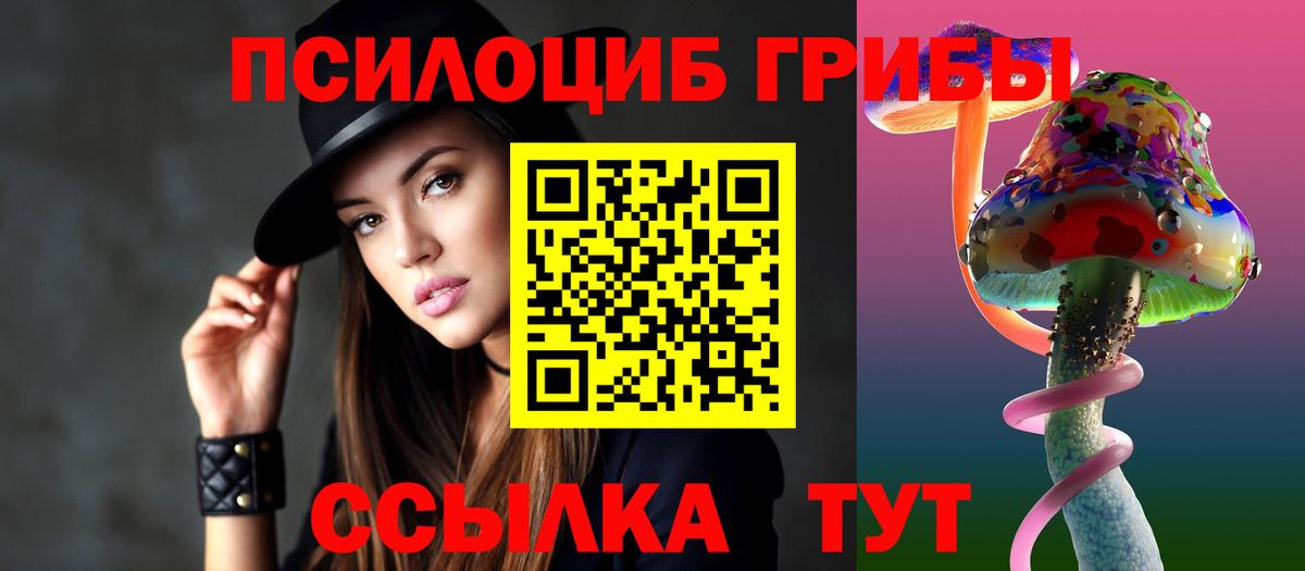 наркотики  Вход с VPN  Кохма  Галлюциногенные грибы GOLDEN TEACHER  Псилоцибиновые грибы MAGIC MUSHROOMS 